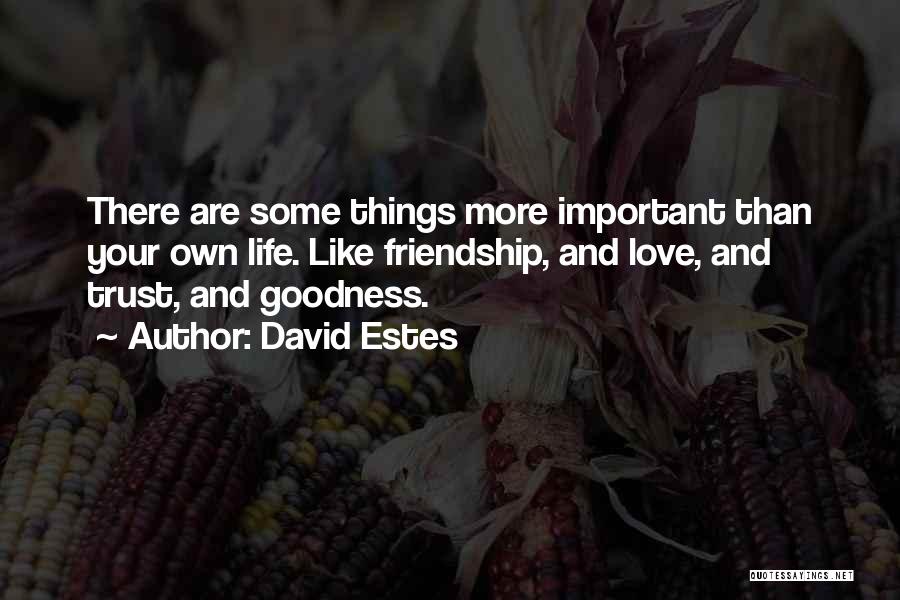 Some Things Are More Important Quotes By David Estes