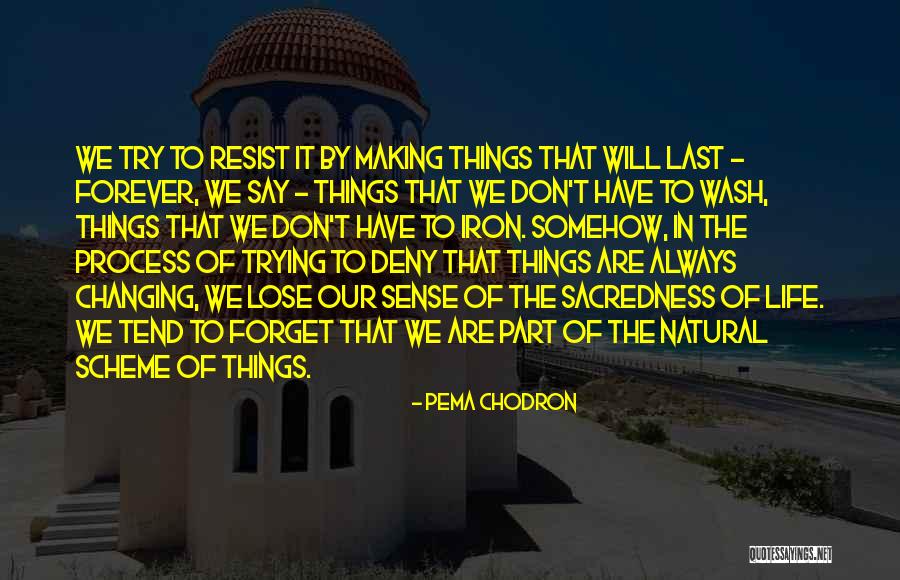 Some Things Don't Last Forever Quotes By Pema Chodron