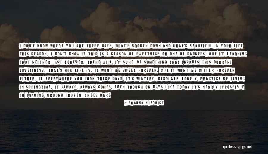 Some Things Don't Last Forever Quotes By Shauna Niequist Some Things Don't Last Forever Quotes By Shauna Niequist