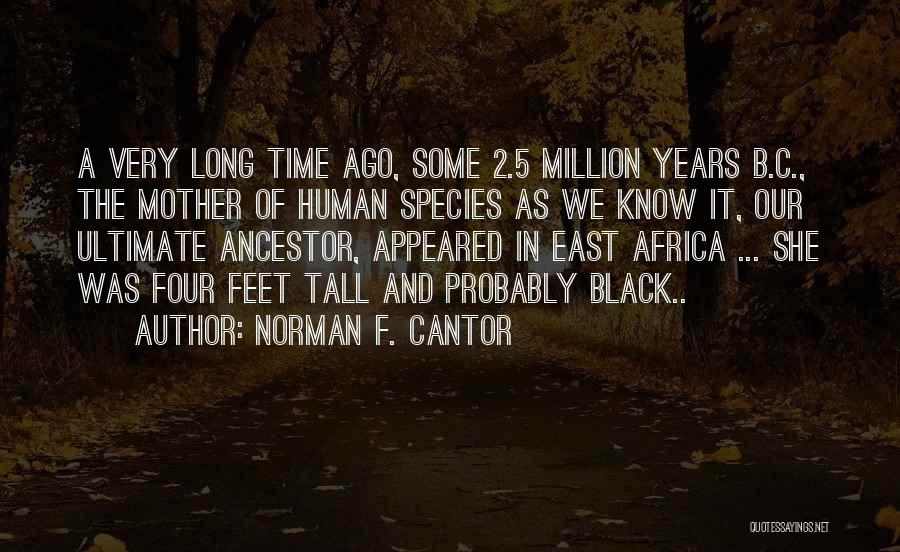 Some Time Ago Quotes By Norman F. Cantor