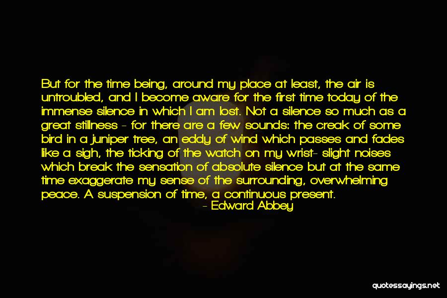Some Time Silence Quotes By Edward Abbey Some Time Silence Quotes By Edward Abbey