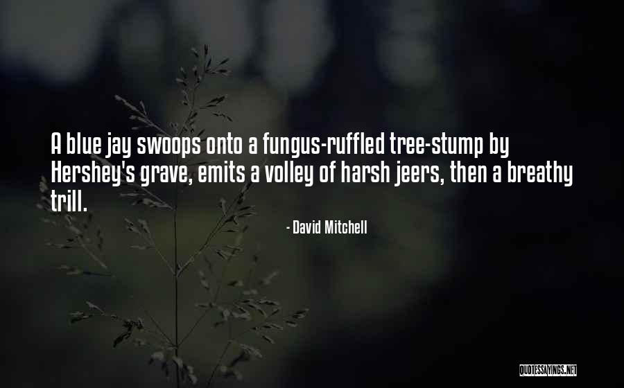 Some Trill Quotes By David Mitchell