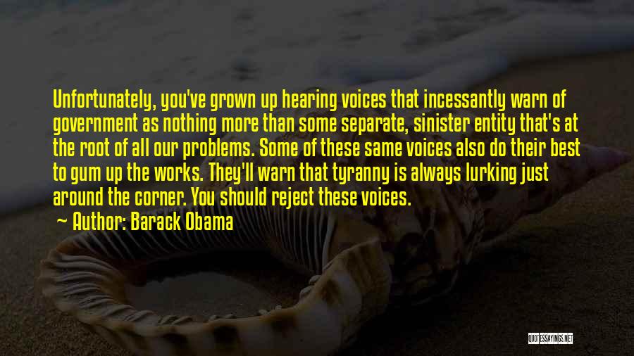 Some Voices Quotes By Barack Obama