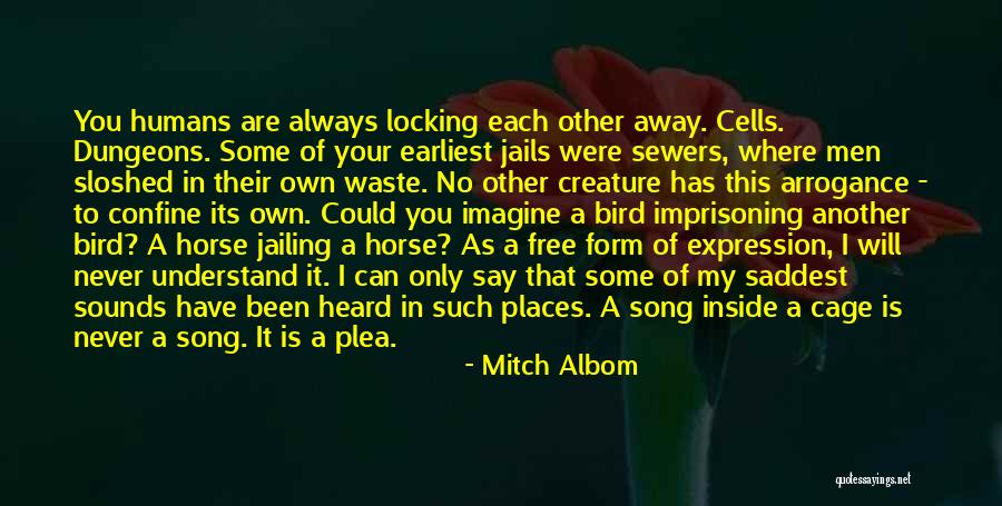 Some Will Never Understand Quotes By Mitch Albom Some Will Never Understand Quotes By Mitch Albom