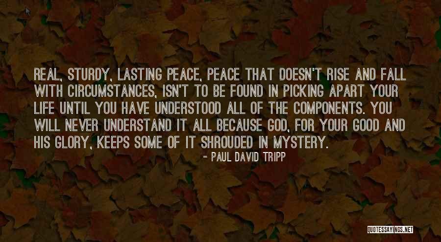 Some Will Never Understand Quotes By Paul David Tripp Some Will Never Understand Quotes By Paul David Tripp