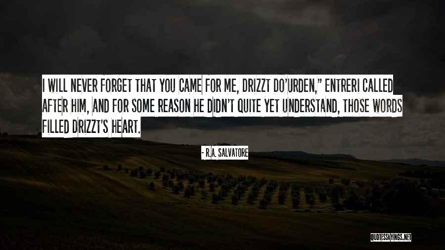 Some Will Never Understand Quotes By R.A. Salvatore Some Will Never Understand Quotes By R.A. Salvatore