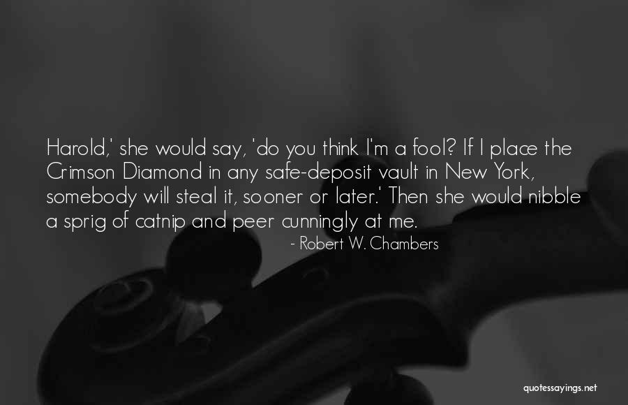 Somebody New Quotes By Robert W. Chambers