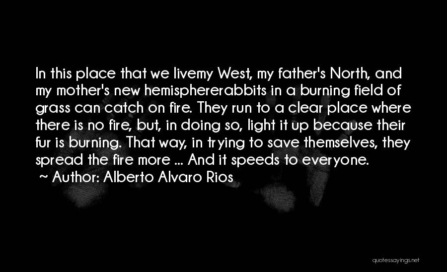 Somebody Slowly Dying Quotes By Alberto Alvaro Rios