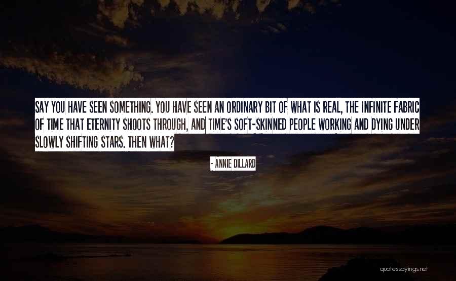 Somebody Slowly Dying Quotes By Annie Dillard Somebody Slowly Dying Quotes By Annie Dillard
