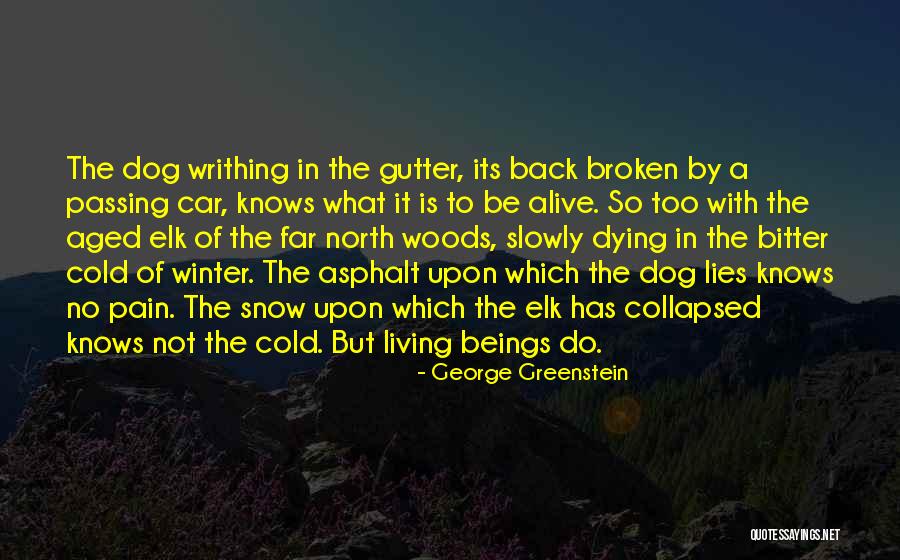 Somebody Slowly Dying Quotes By George Greenstein Somebody Slowly Dying Quotes By George Greenstein