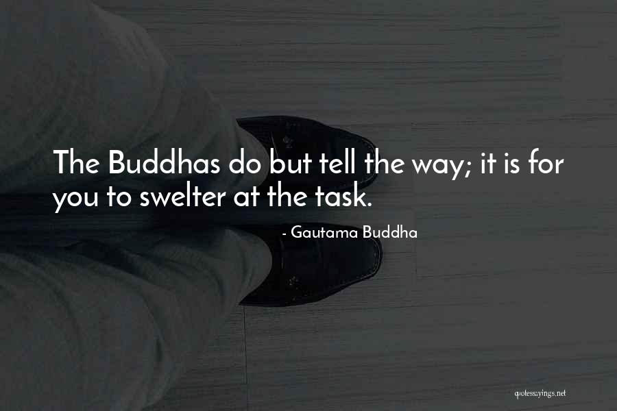 Somebody Tell Me Why Quotes By Gautama Buddha