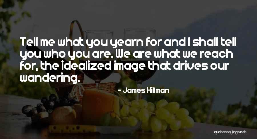 Somebody Tell Me Why Quotes By James Hillman