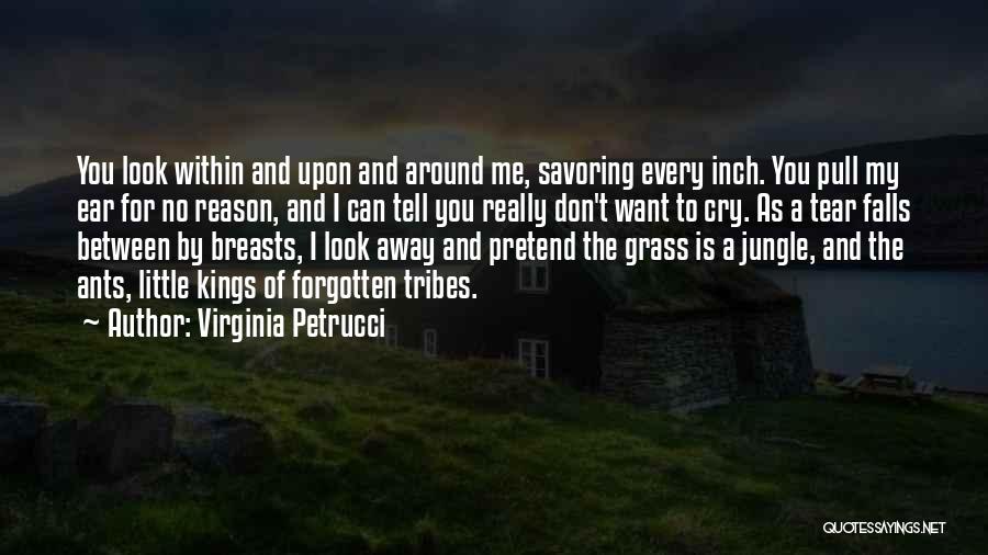 Somebody Tell Me Why Quotes By Virginia Petrucci