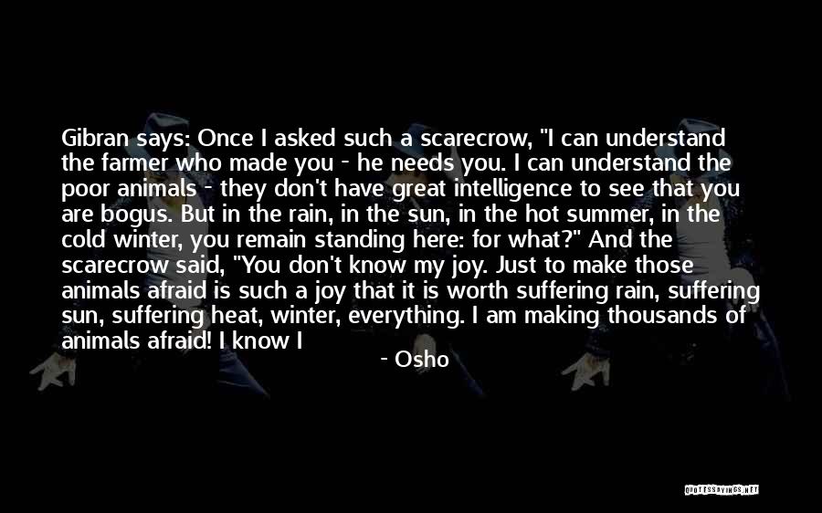 Somebody To Care Quotes By Osho