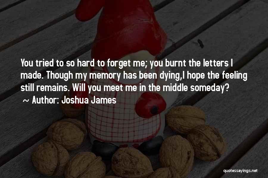 Someday I Will Forget You Quotes By Joshua James