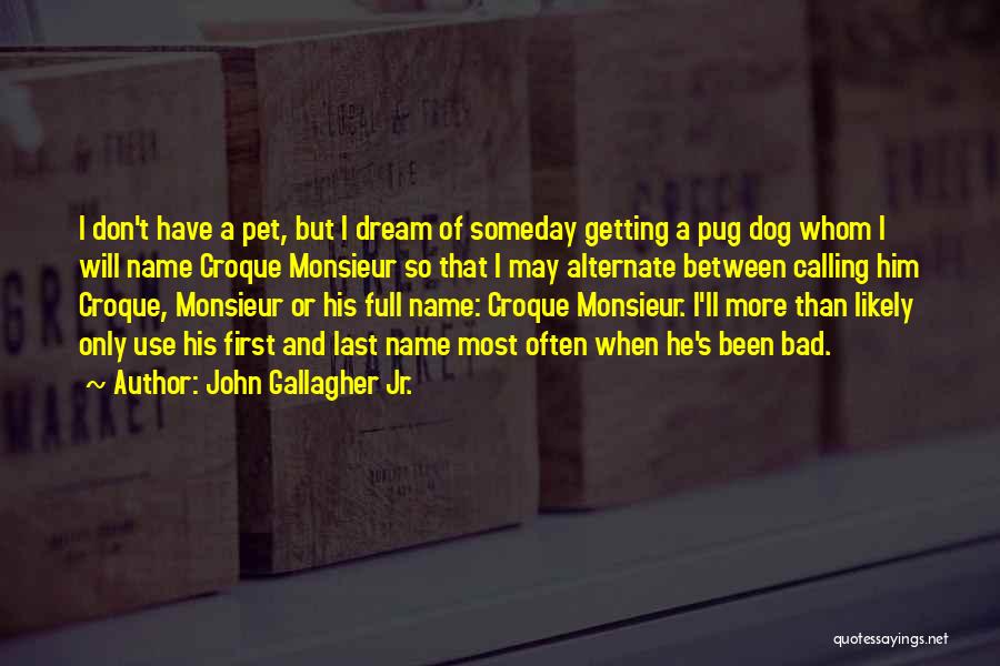 Someday I Will Quotes By John Gallagher Jr.