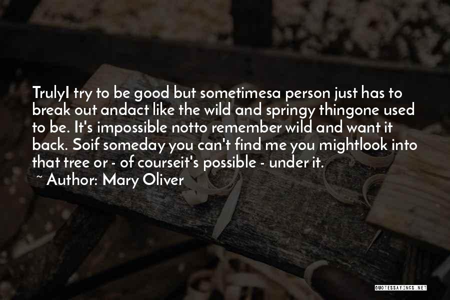 Someday I'll Find You Quotes By Mary Oliver