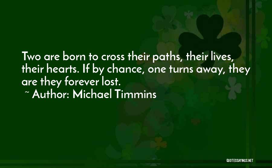Someday Our Paths Will Cross Quotes By Michael Timmins