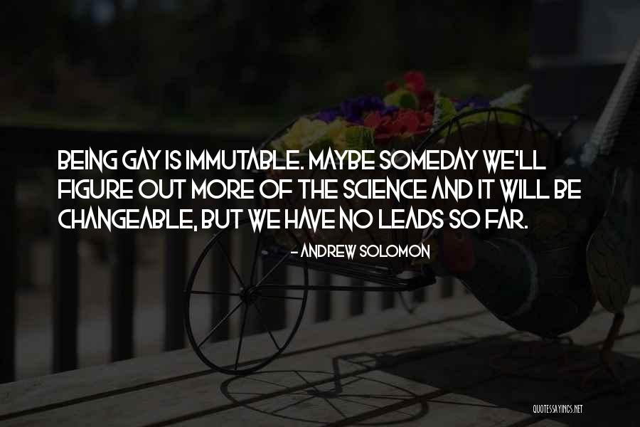 Someday Someday Maybe Quotes By Andrew Solomon Someday Someday Maybe Quotes By Andrew Solomon