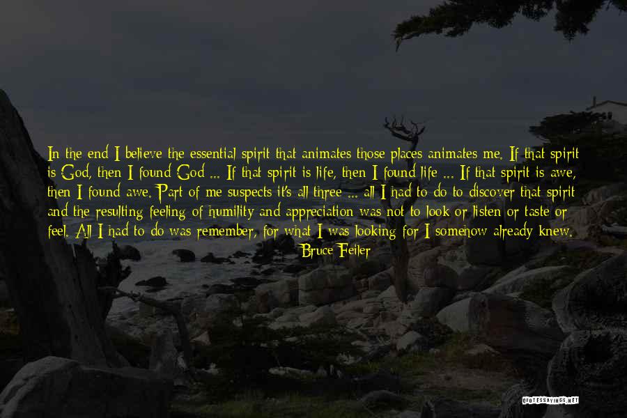 Somehow I Knew Quotes By Bruce Feiler Somehow I Knew Quotes By Bruce Feiler