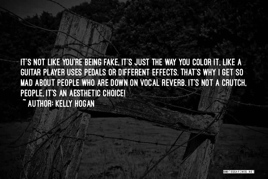 Someone Being Fake Quotes By Kelly Hogan