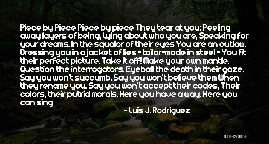 Someone Being Perfect In Your Eyes Quotes By Luis J. Rodriguez