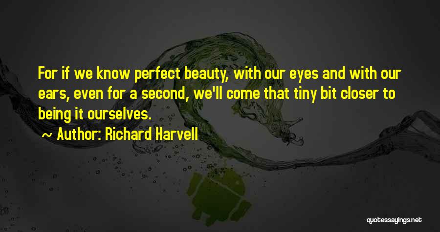 Someone Being Perfect In Your Eyes Quotes By Richard Harvell