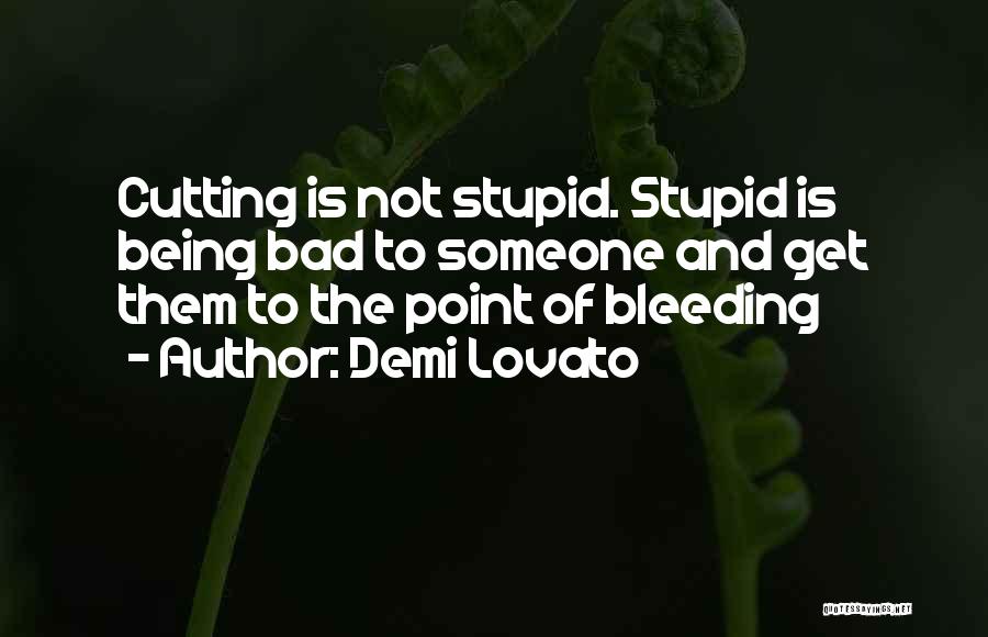 Someone Being Stupid Quotes By Demi Lovato