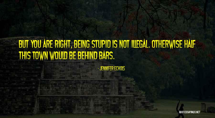 Someone Being Stupid Quotes By Jennifer Echols Someone Being Stupid Quotes By Jennifer Echols
