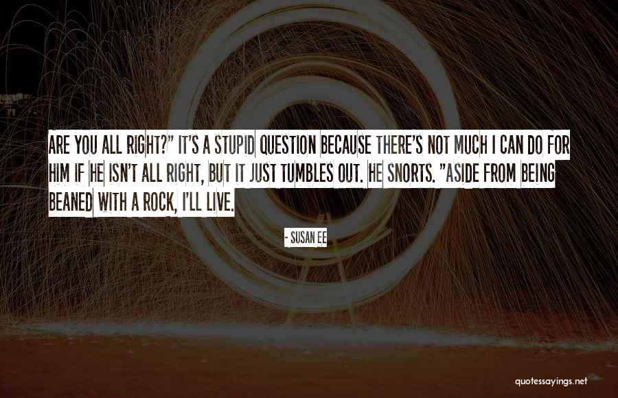Someone Being Stupid Quotes By Susan Ee Someone Being Stupid Quotes By Susan Ee