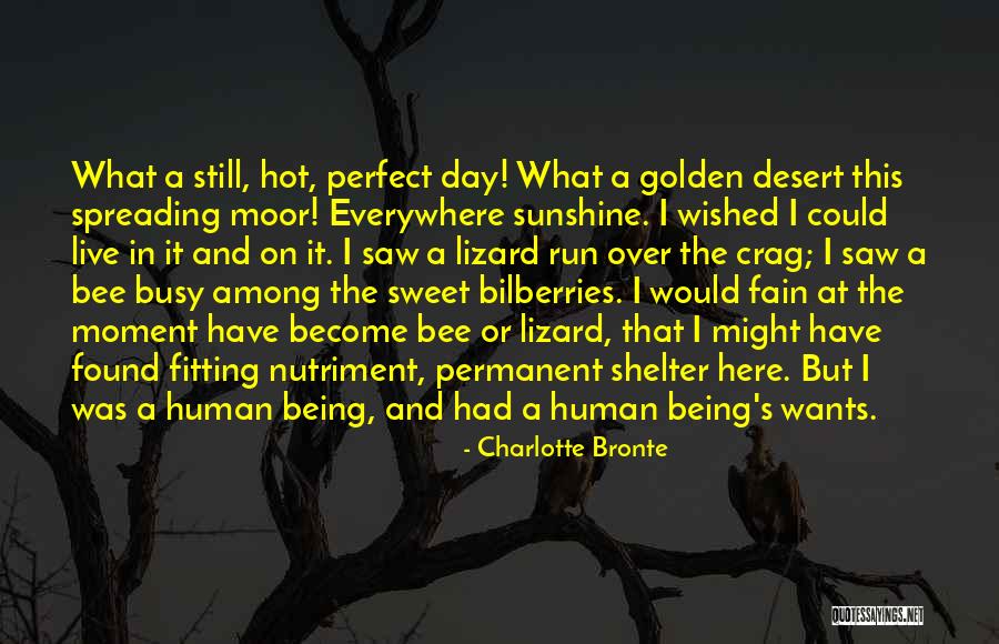 Someone Being Sweet Quotes By Charlotte Bronte Someone Being Sweet Quotes By Charlotte Bronte