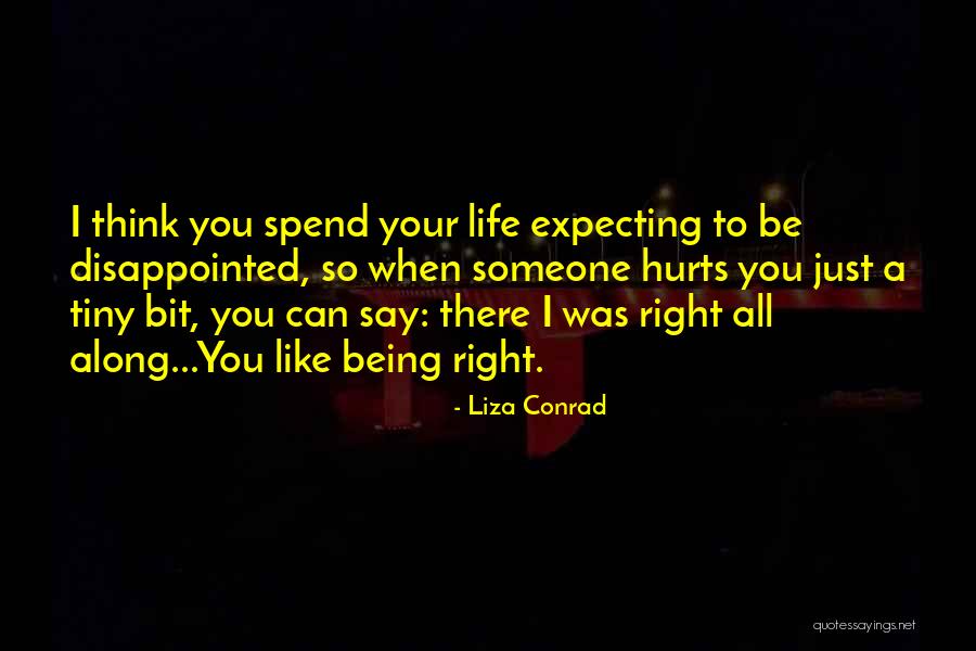 Someone Being There All Along Quotes By Liza Conrad