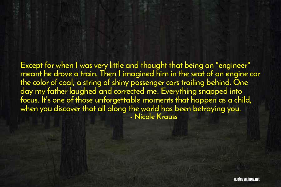 Someone Being There All Along Quotes By Nicole Krauss