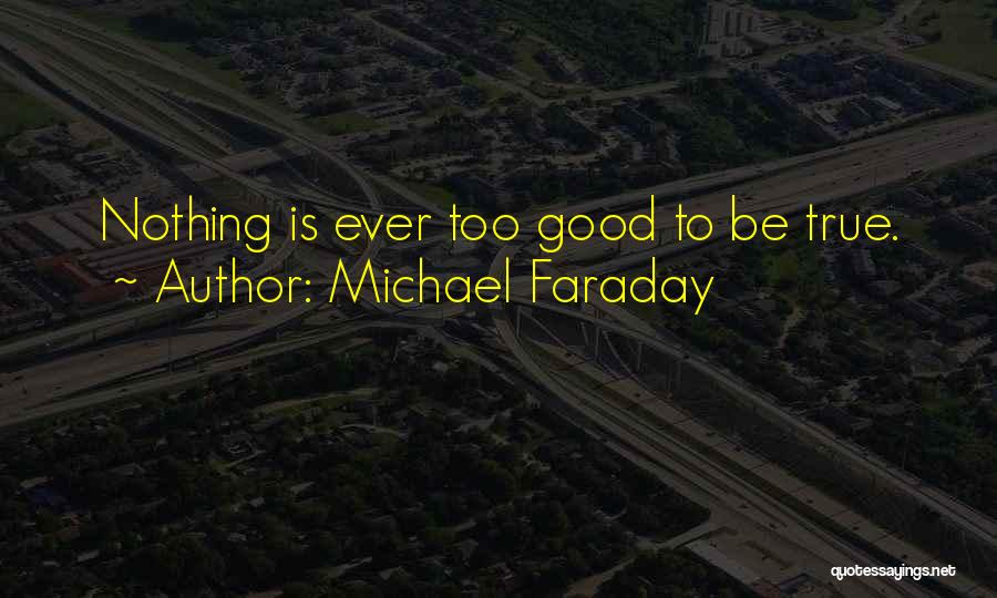 Someone Being Too Good To Be True Quotes By Michael Faraday