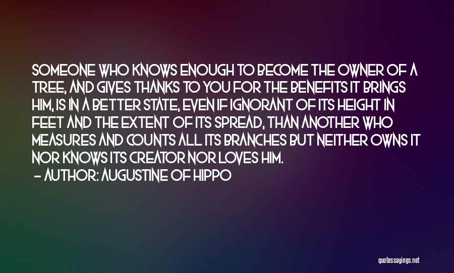 Someone Better Than You Quotes By Augustine Of Hippo