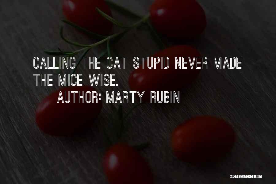 Someone Calling You Stupid Quotes By Marty Rubin