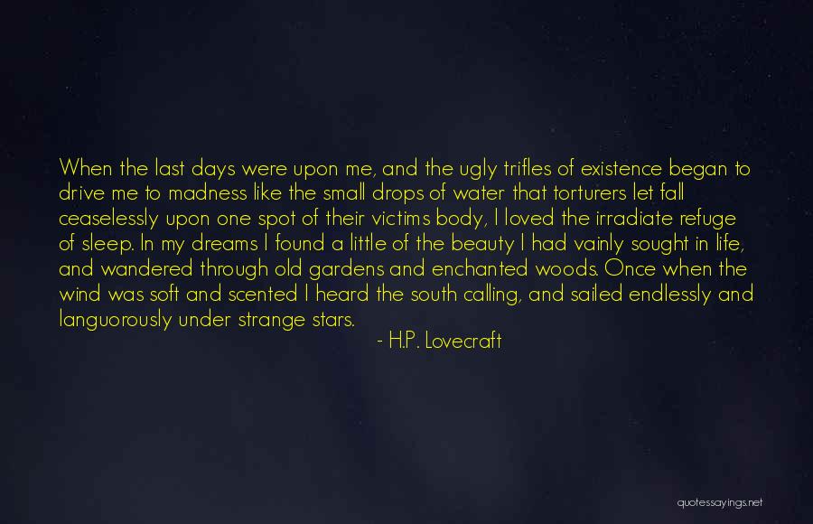 Someone Calling You Ugly Quotes By H.P. Lovecraft Someone Calling You Ugly Quotes By H.P. Lovecraft