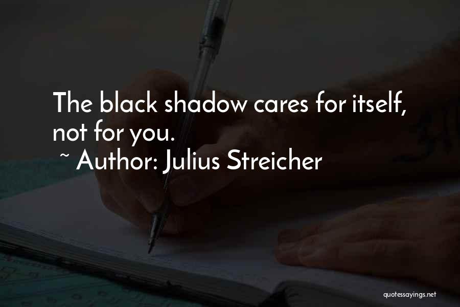 Someone Cares For Me Quotes By Julius Streicher
