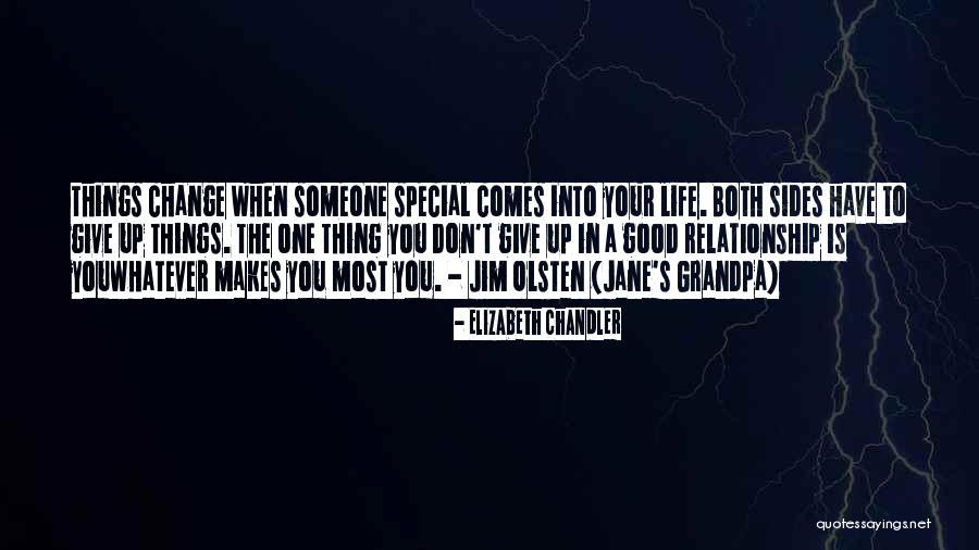 Someone Comes Into Your Life Quotes By Elizabeth Chandler