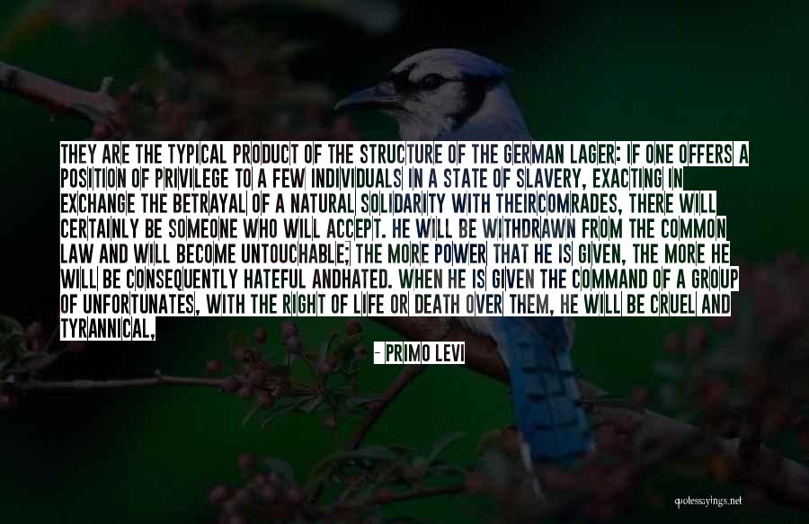 Someone Death Quotes By Primo Levi Someone Death Quotes By Primo Levi