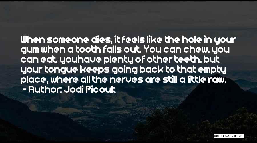 Someone Dies Quotes By Jodi Picoult