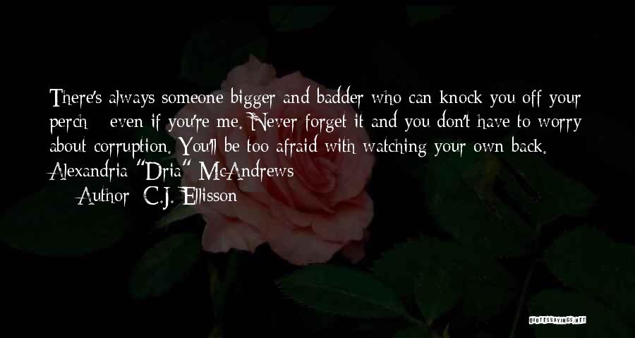 Someone Forget Me Quotes By C.J. Ellisson