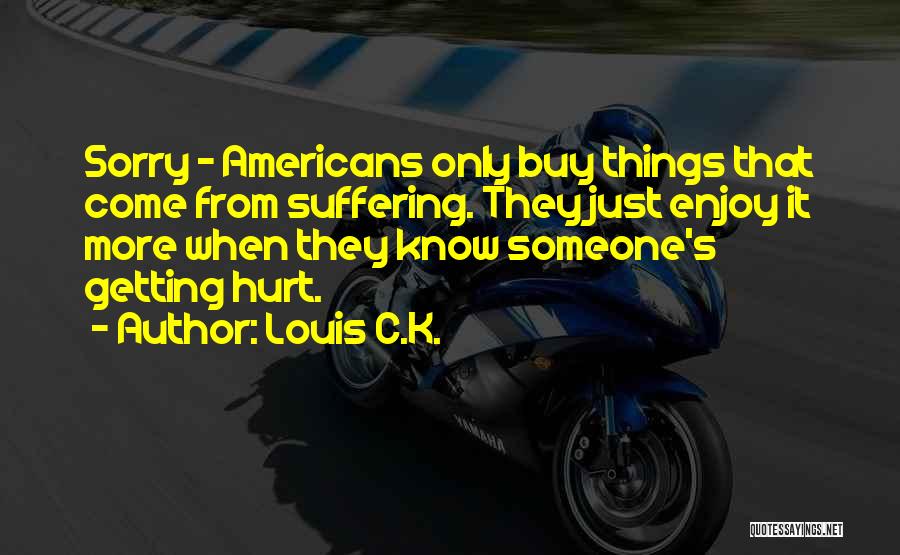Someone Getting Hurt Quotes By Louis C.K.