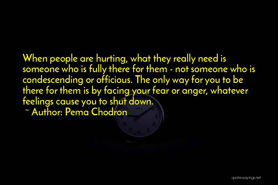 Someone Hurting You Quotes By Pema Chodron