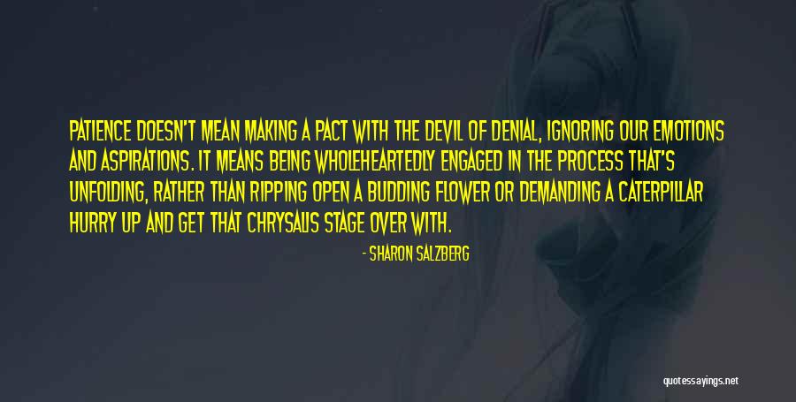 Someone Ignoring You Quotes By Sharon Salzberg Someone Ignoring You Quotes By Sharon Salzberg