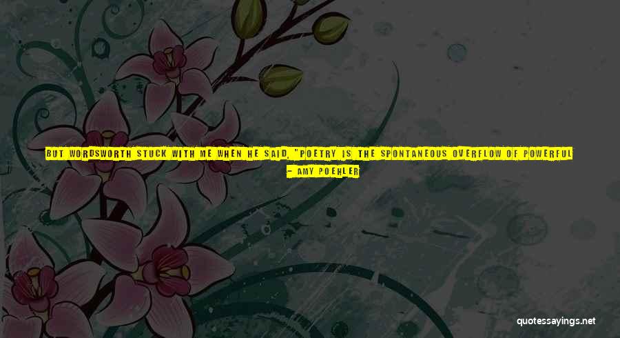 Someone Like Me Book Quotes By Amy Poehler Someone Like Me Book Quotes By Amy Poehler
