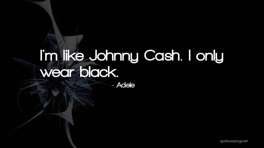 Someone Like You Adele Quotes By Adele Someone Like You Adele Quotes By Adele