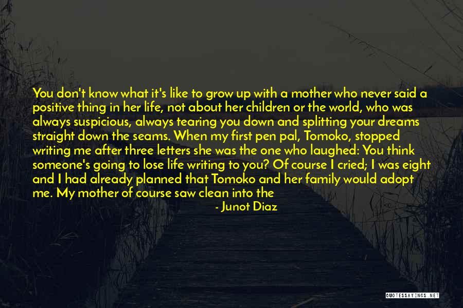 Someone Like Your Mother Quotes By Junot Diaz Someone Like Your Mother Quotes By Junot Diaz