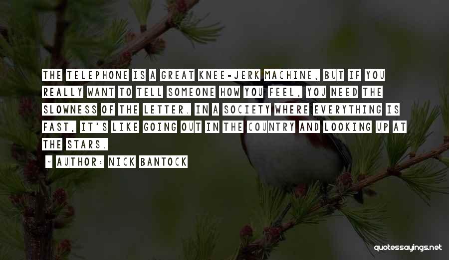 Someone Looking Up To You Quotes By Nick Bantock
