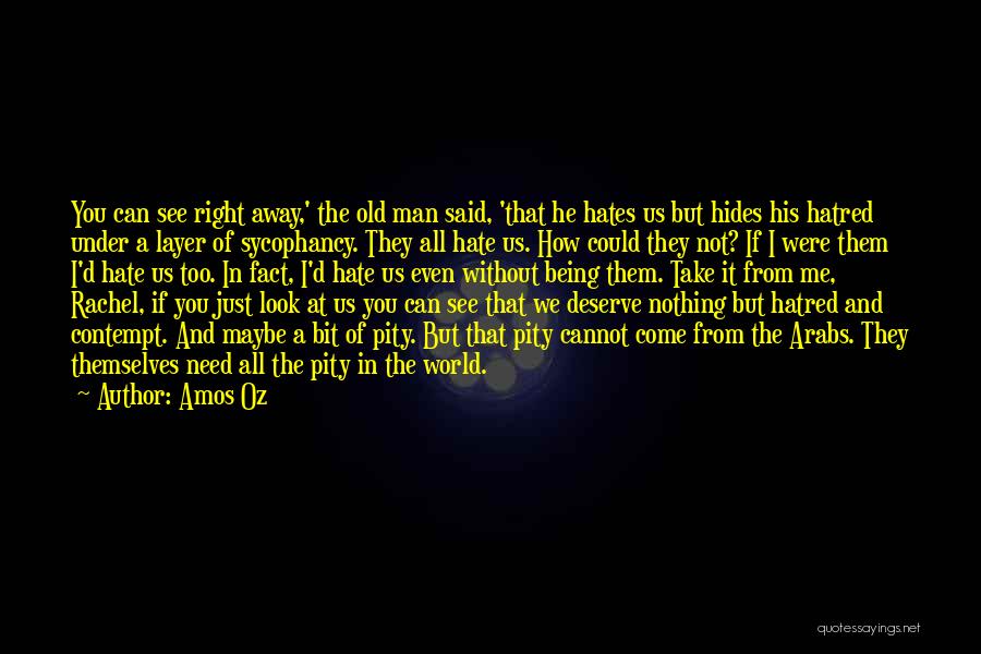 Someone Not Being There When You Need Them Most Quotes By Amos Oz